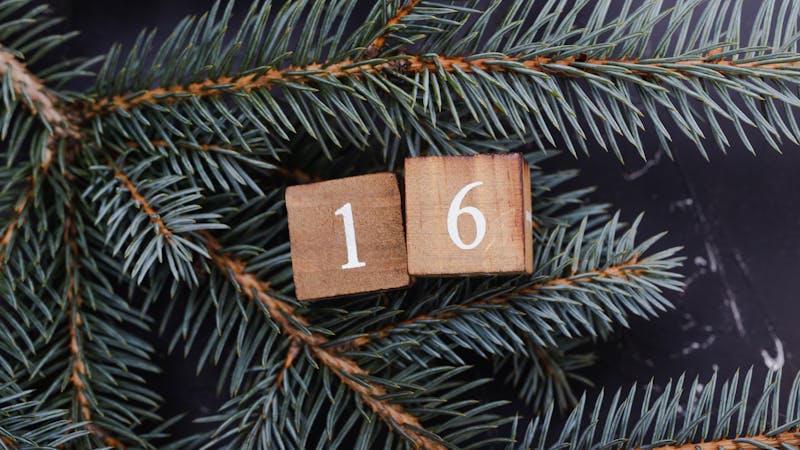 Wooden cubes with number. Blue spruce.