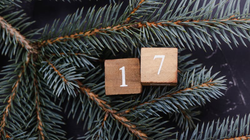 Wooden cubes with number. Blue spruce.