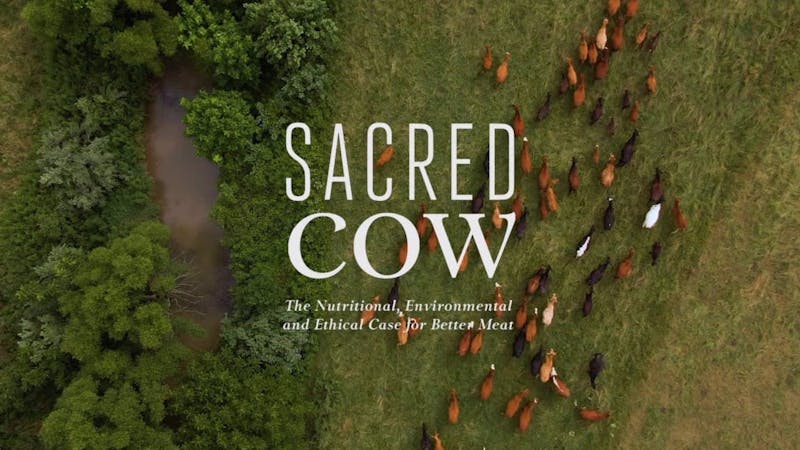 sacred-cow