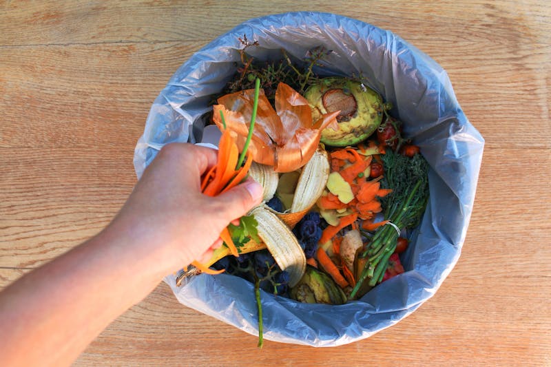 Domestic waste for compost from fruits and vegetables. Woman  throws garbage.