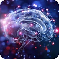 Low carb and mental health