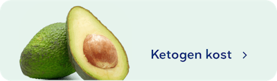 SE-ketogen-kost