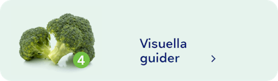 SE-visuella_guider-desktop