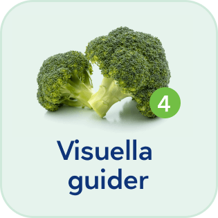 SE-visuella_guider-mobile