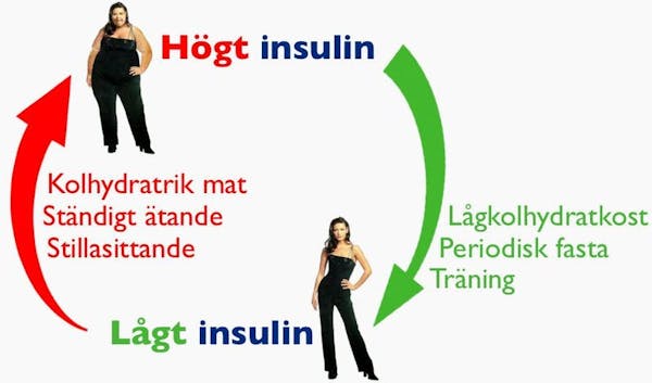 insulin-f9