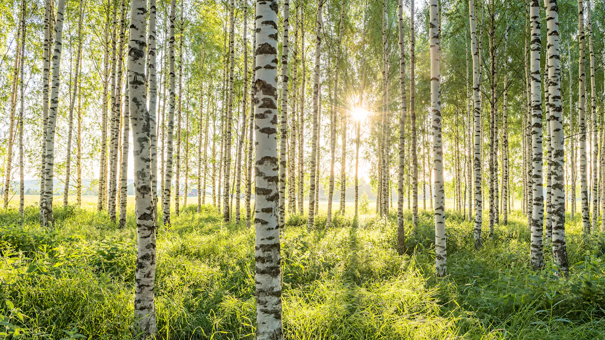 Grönt är skönt - och nyttigt!