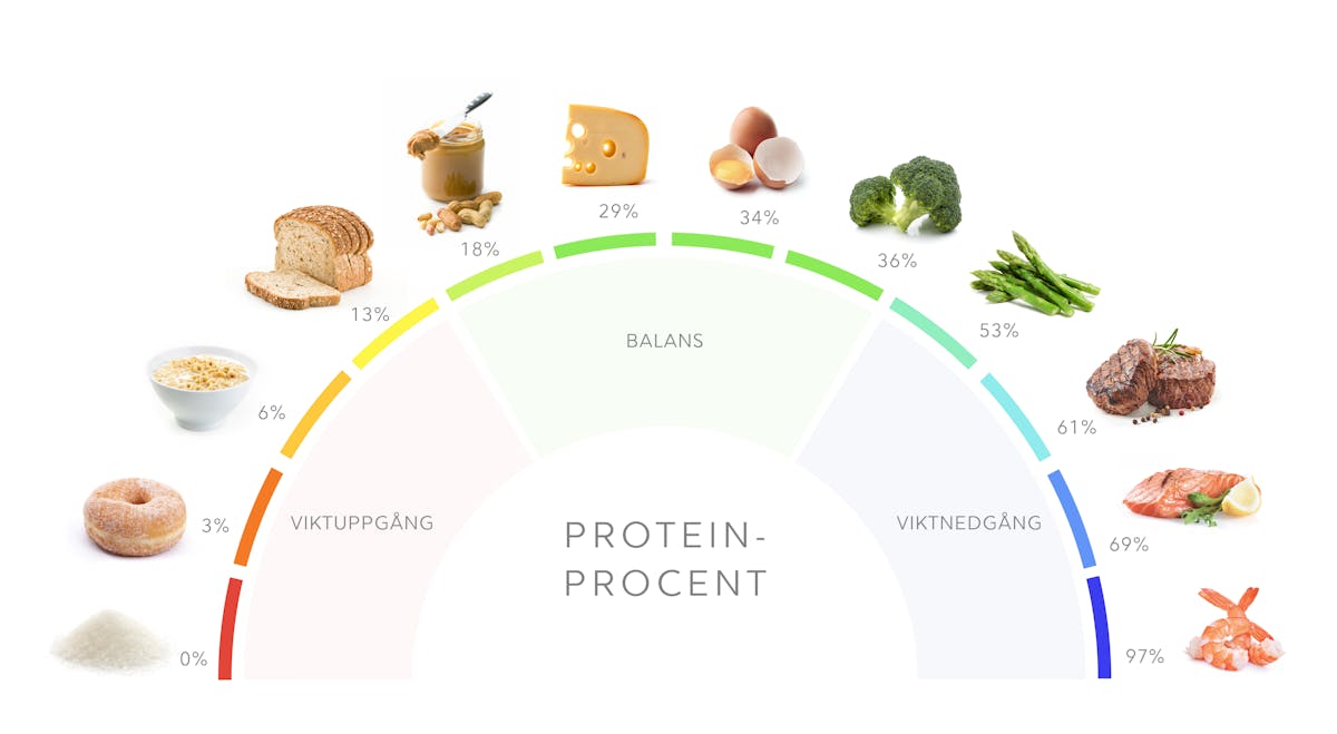 Proteinrik kost: vad det är och hur du gör
