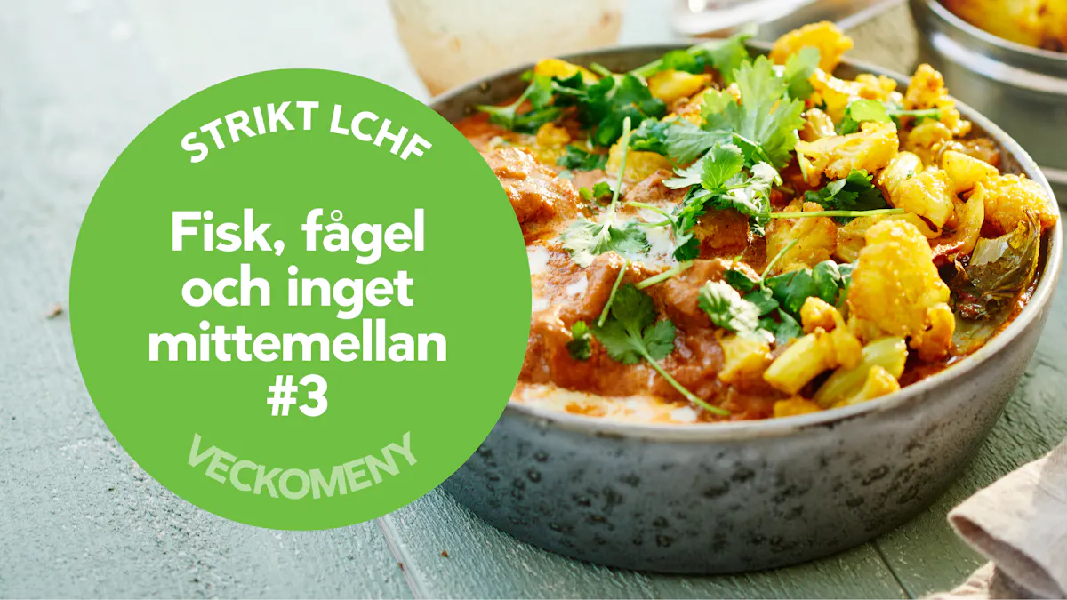 Keto: Fisk, fågel och inget mittemellan #3