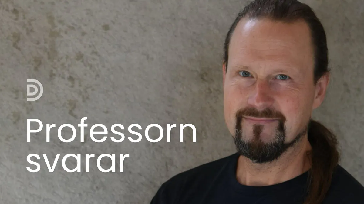 Nyhet: Professorn svarar