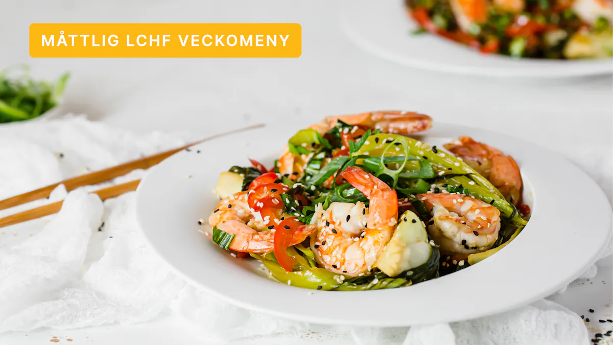 DD+ måttlig LCHF: Jorden runt #3