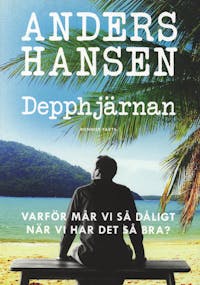 Anders Hansen Depphjärnan