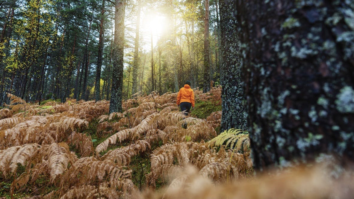 Hur ska jag äta inför en krävande vandring?