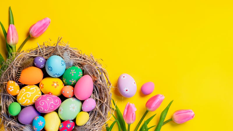 Easter – Decorated Eggs In Nest With Pink Tulips In Yellow Background