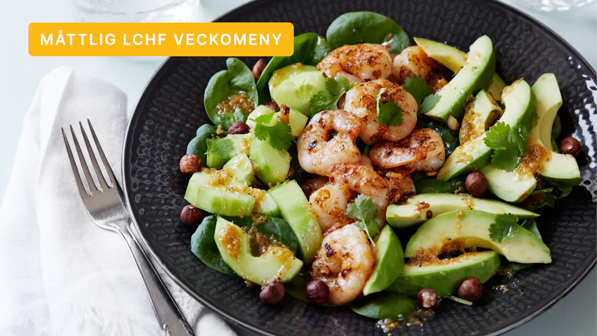 DD+ måttlig LCHF: Mejerifritt #6