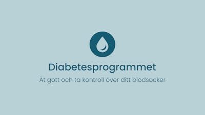 Diabetesprogrammet