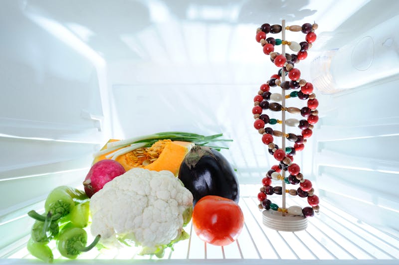 DNA model and vegetables in refrigerator