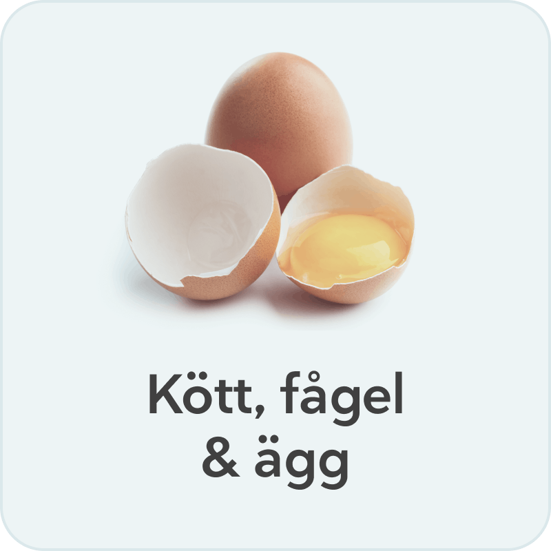 Kött fågel ägg