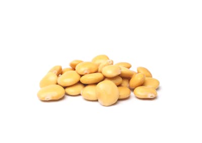 Lupini-beans
