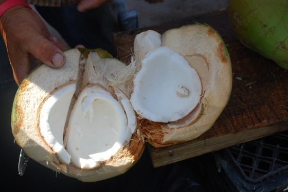Kokosnötter: Karibisk LCHF?