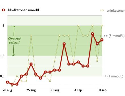 Experiment: Optimal ketos för viktminskning och prestationsökning