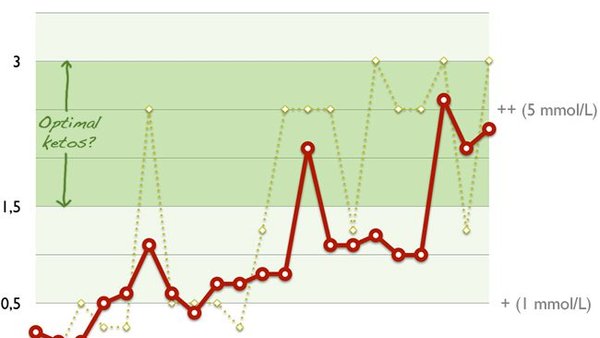 Experiment: Optimal ketos för viktminskning och prestationsökning