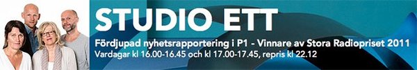 Radioinslaget med professor Marcus och mig på nätet