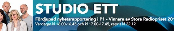 Radioinslaget med professor Marcus och mig på nätet