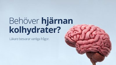 Behöver hjärnan kolhydrater? – svar på vanliga frågor
