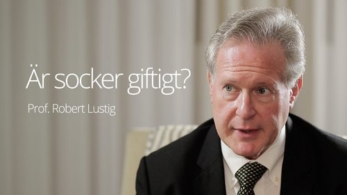 Är socker giftigt?