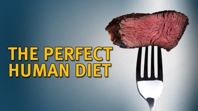 The Perfect Human Diet – filmen