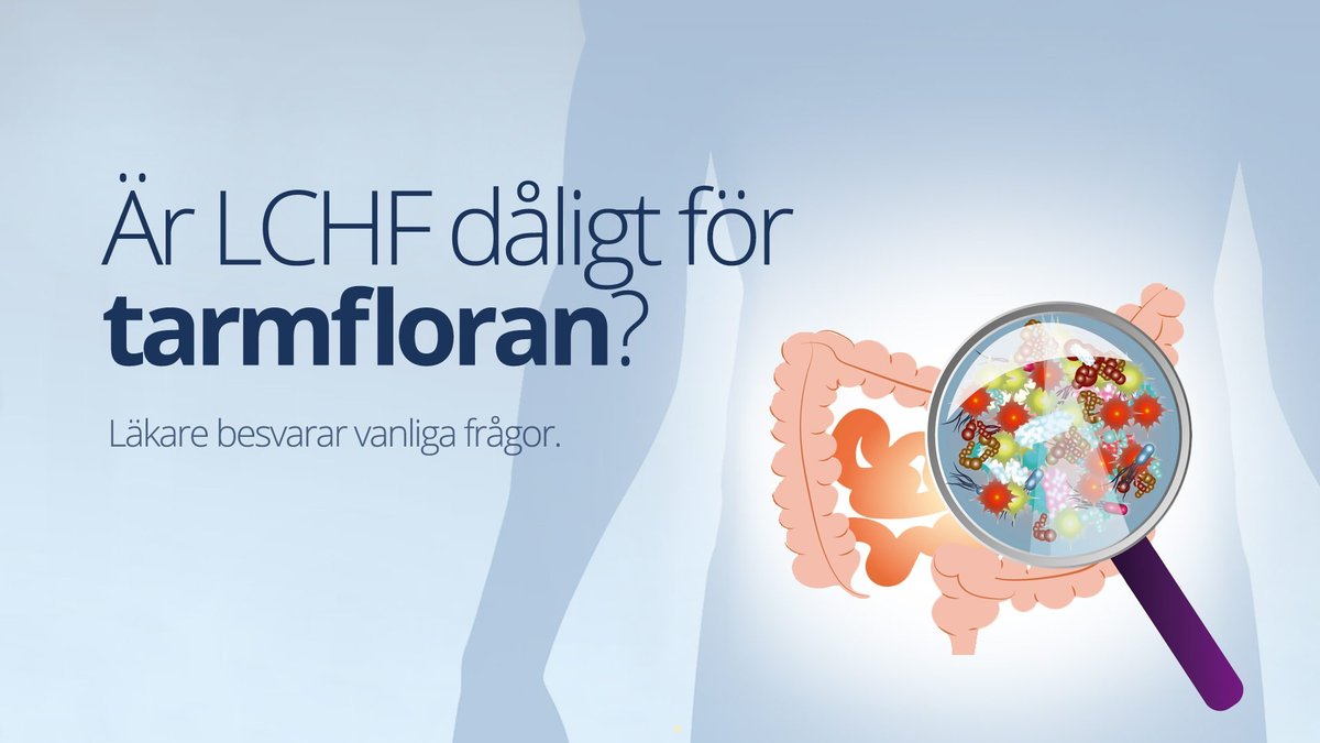 Är LCHF dåligt för tarmfloran?