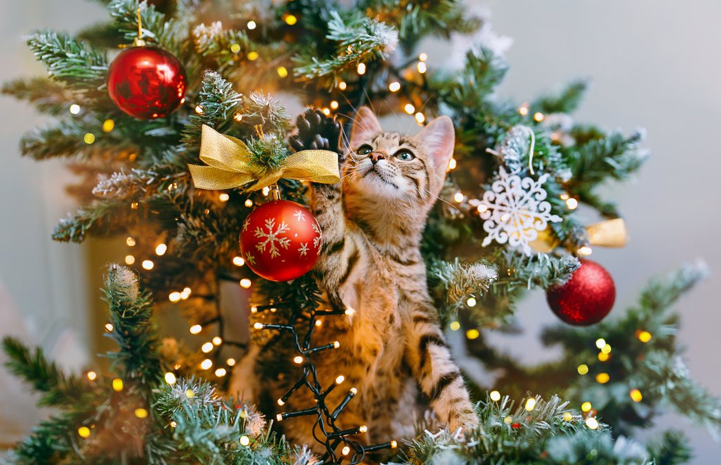 GOD JUL!