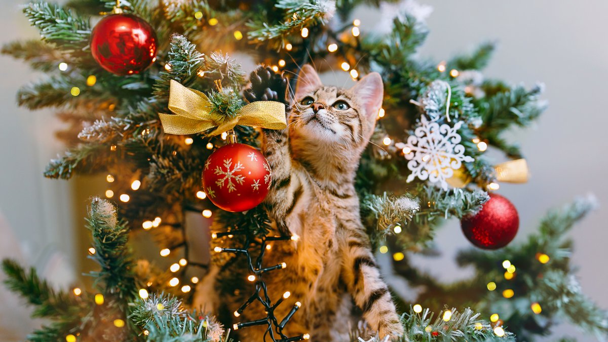 GOD JUL!