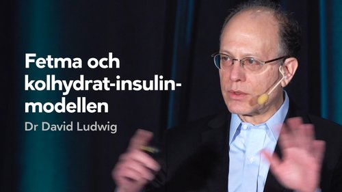 Fetma och kolhydrat-insulin-modellen