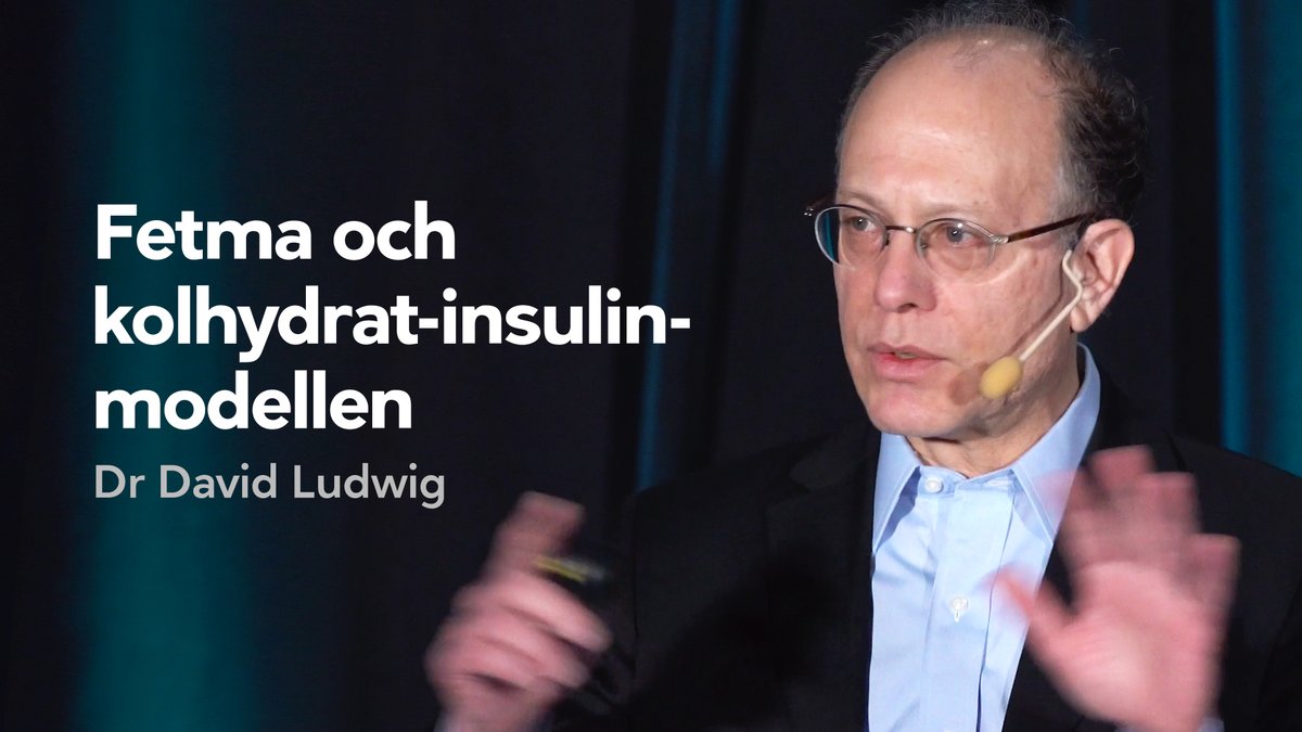 Fetma och kolhydrat-insulin-modellen