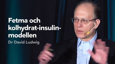 Fetma och kolhydrat-insulin-modellen