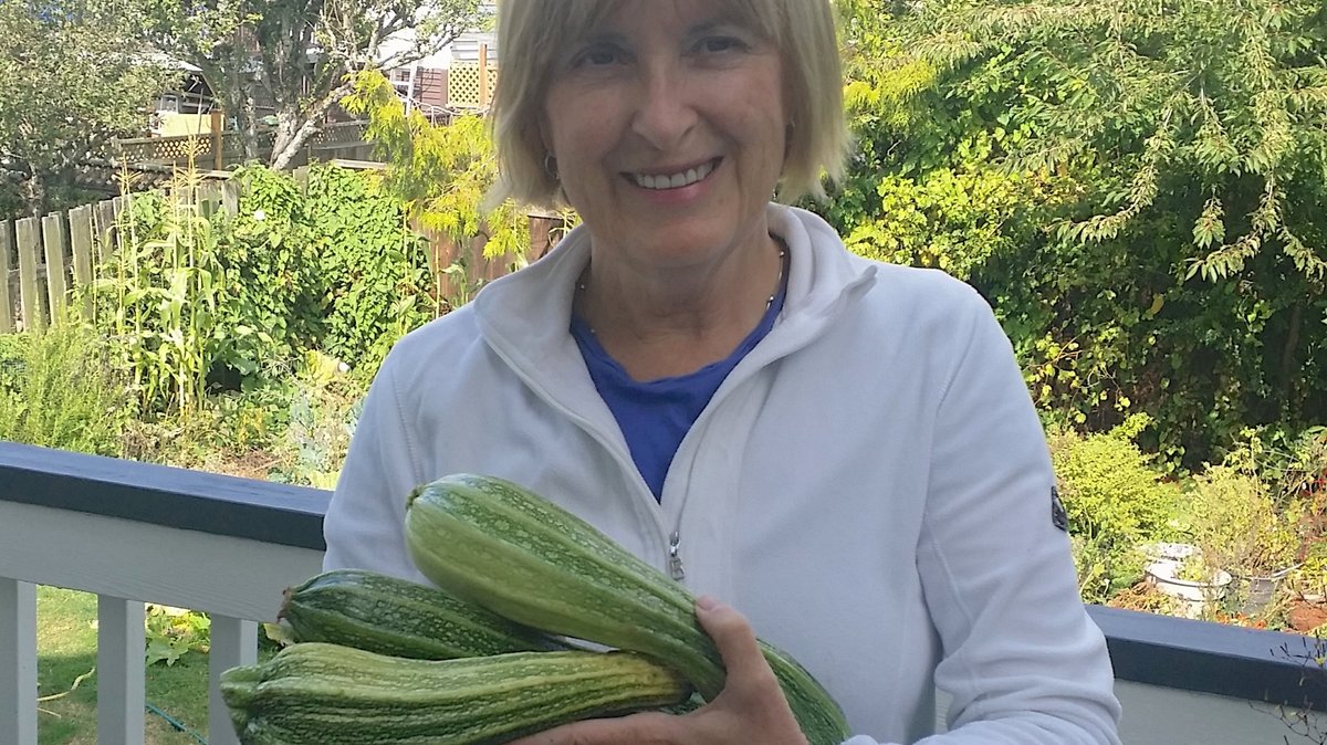 Zucchinifrossa – och tips på hur den kan användas