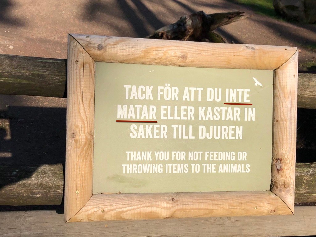 Brev till Kolmården: Varför vill ni att barnen ska äta glass, men inte schimpanserna?