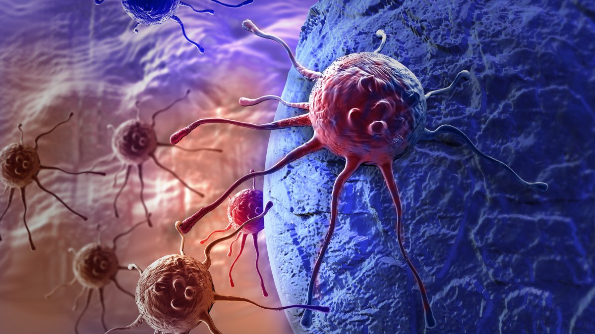 LCHF mot cancer?