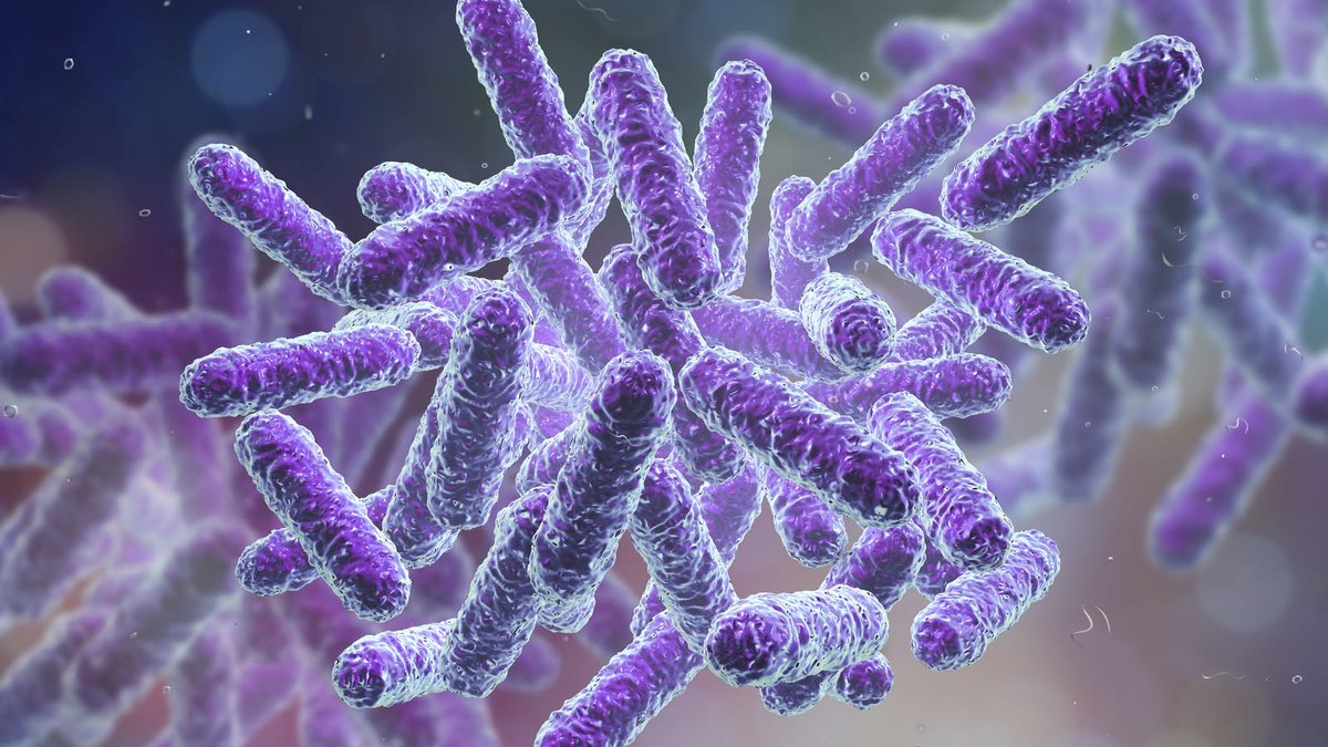 Ny studie visar att ketoner kan minska inflammationsdrivande celler i tarmen