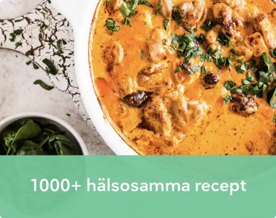 1000+ hälsosamma recept