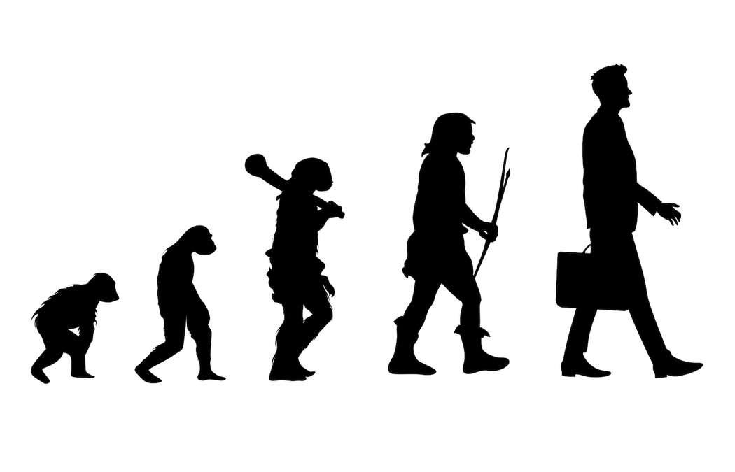 Evolutionens vackra logik