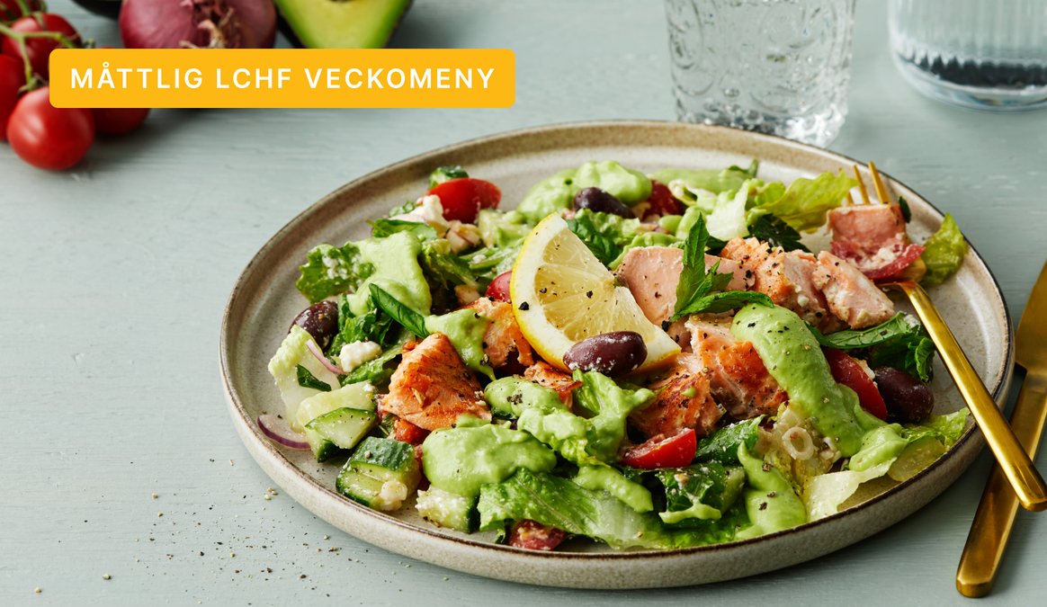 DD+ måttlig LCHF: Mat som gör magen glad #2