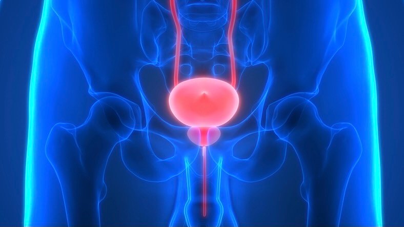 Några frågor om prostatacancer
