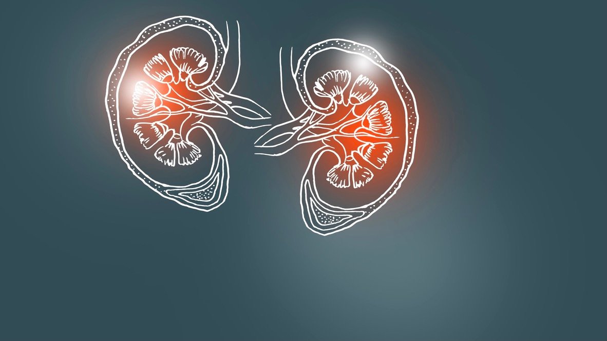 Typ 2-diabetes, nedsatt njurfunktion, alkohol och fasta