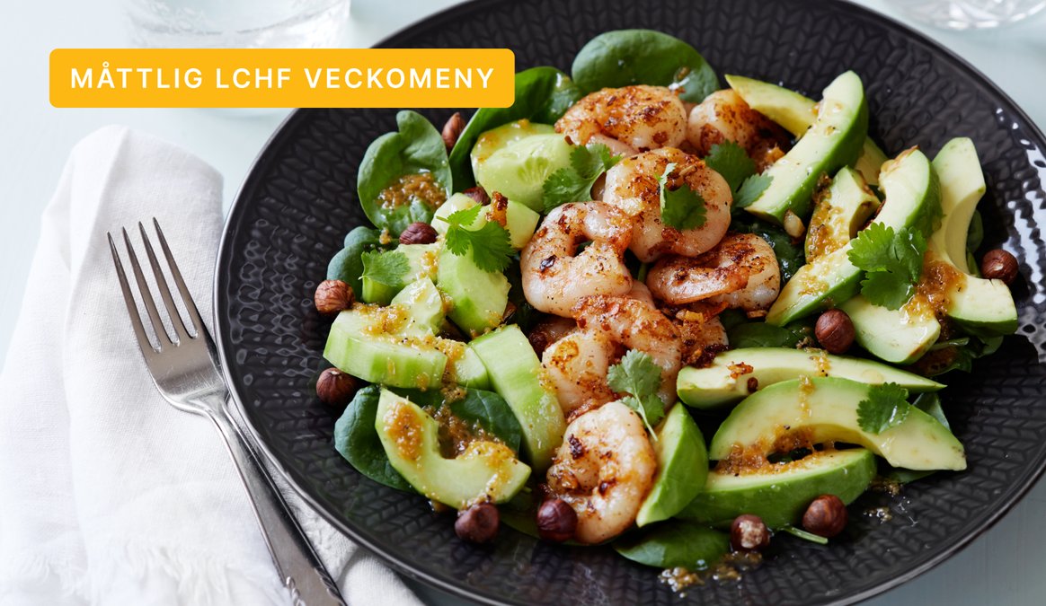 DD+ måttlig LCHF: Mejerifritt #6