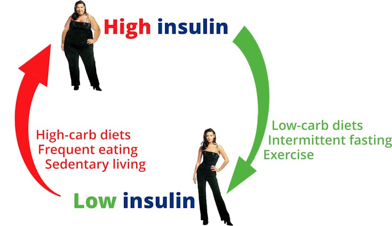 Insulin High-Low-Insulin