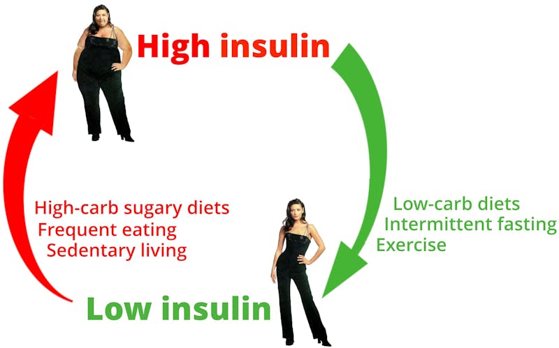 Insulin