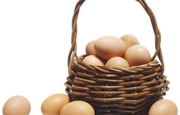 Egg beaters: The stupidest product in the world?