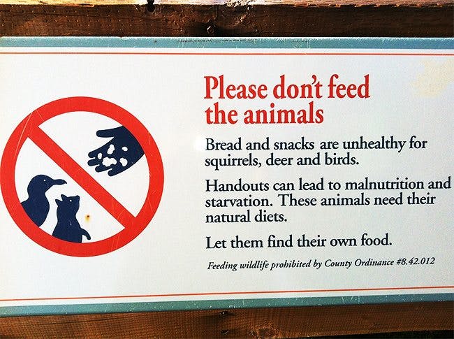 Don't Feed the Animals - Diet Doctor